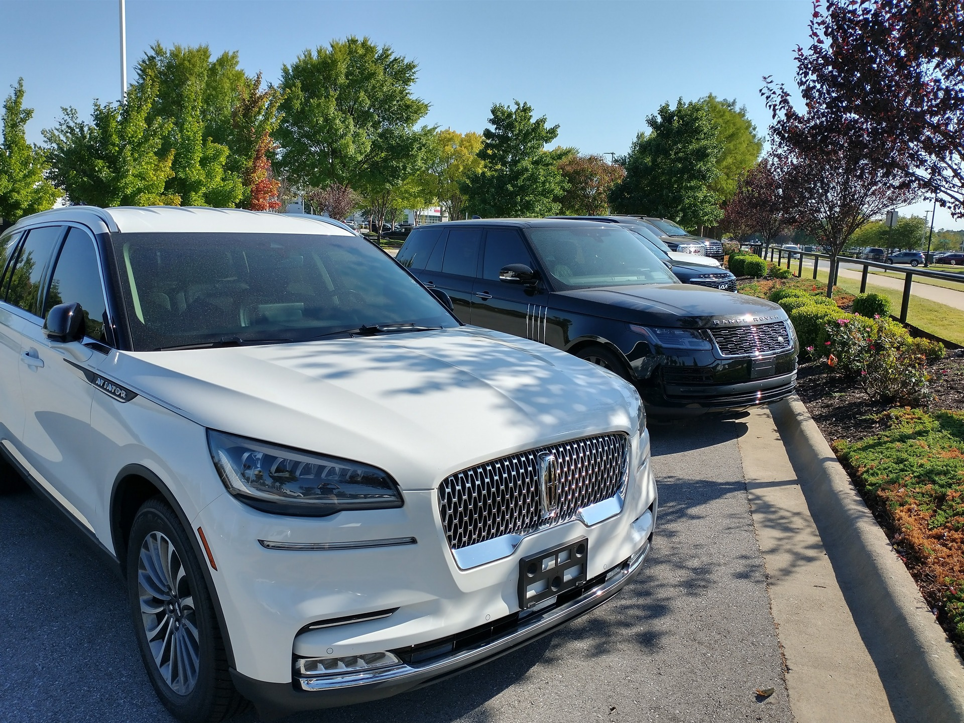 Used cars in a car lot.