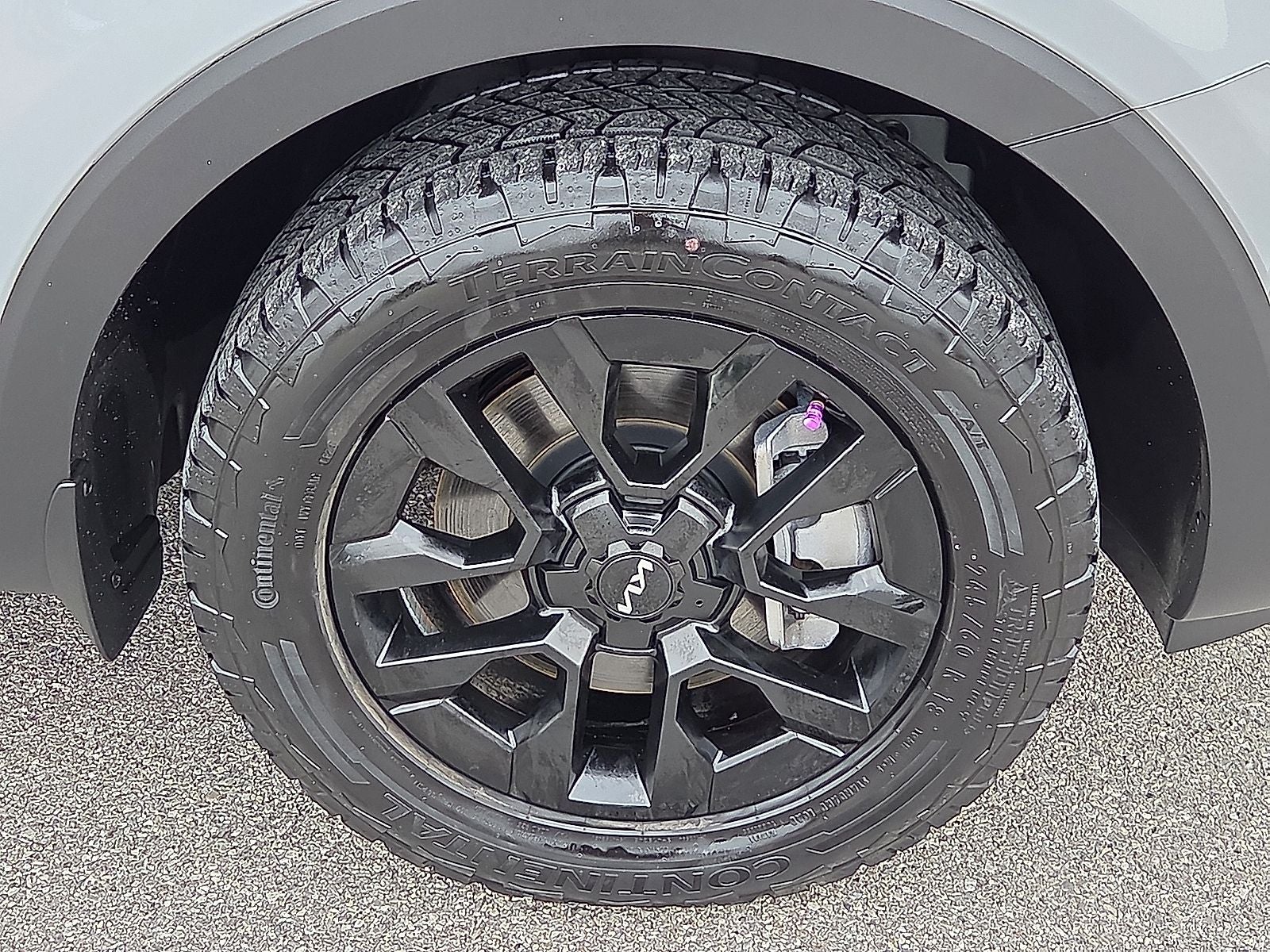2023 Kia Telluride SX-Prestige X-Pro